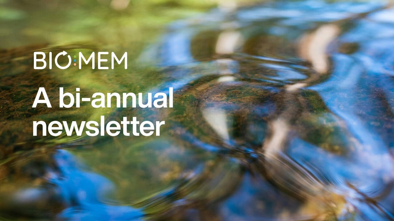 bionem-newsletter-03[70]