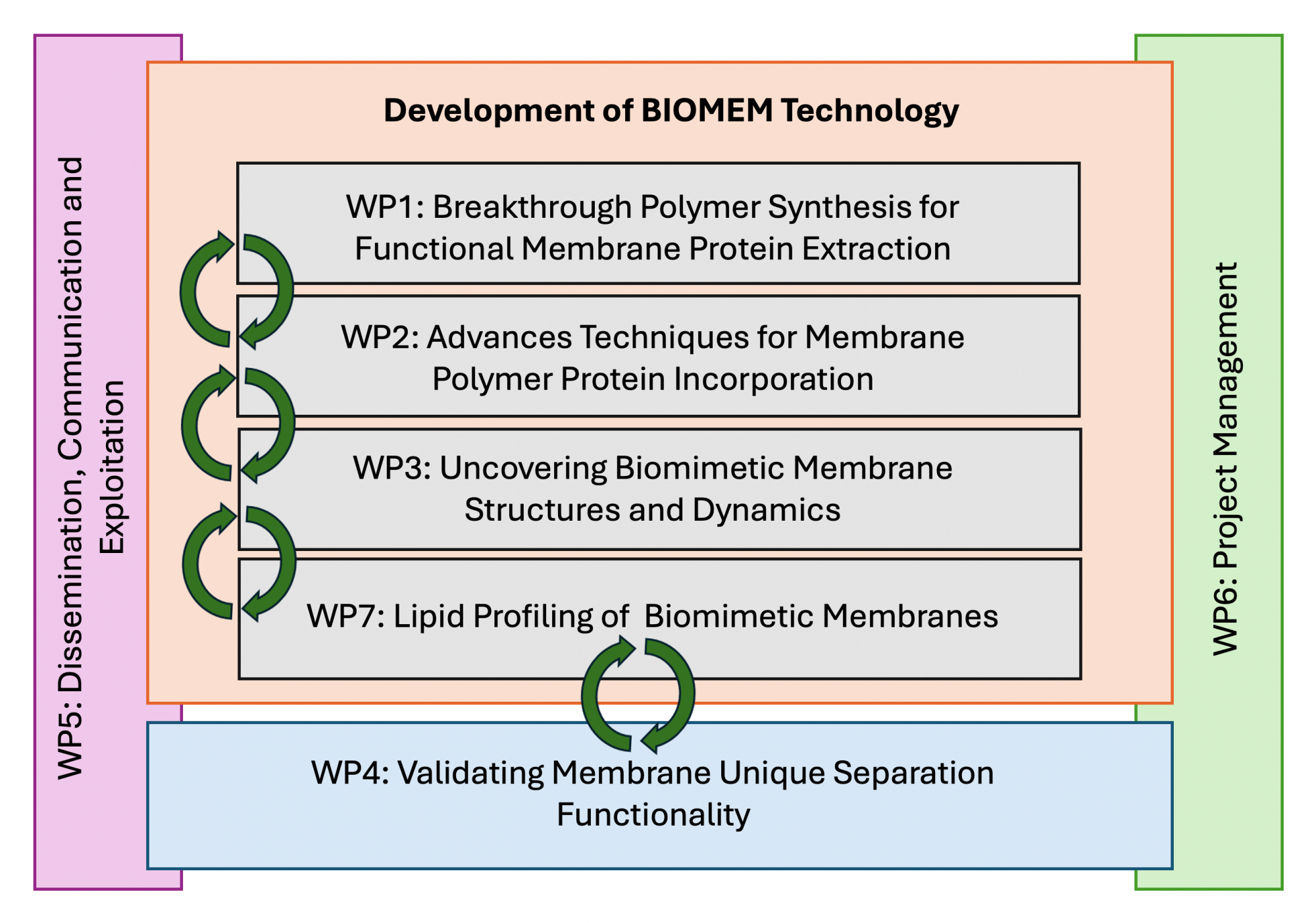 biomem-objectives